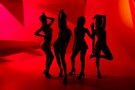 Show Performer : spectacle sexy et festif pour vos soirées en France